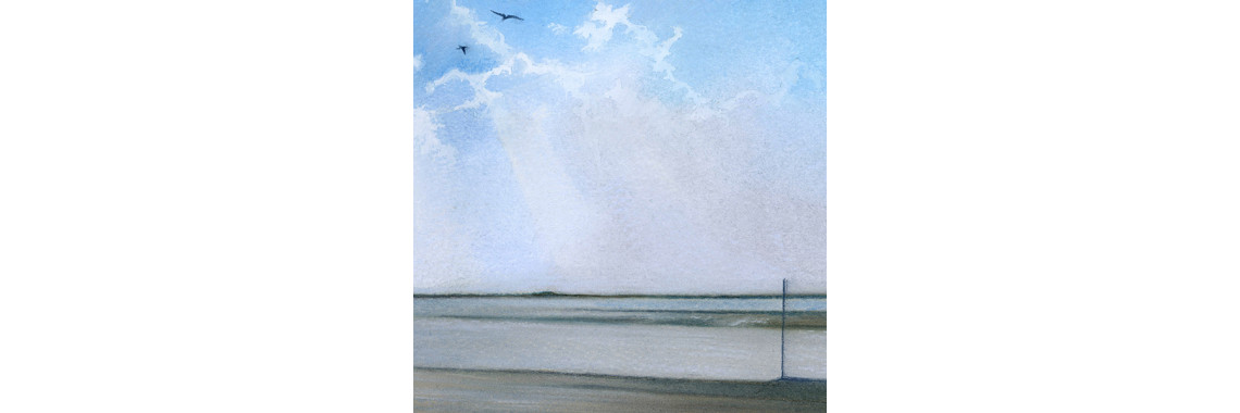 Burnham on Sea Seagull
